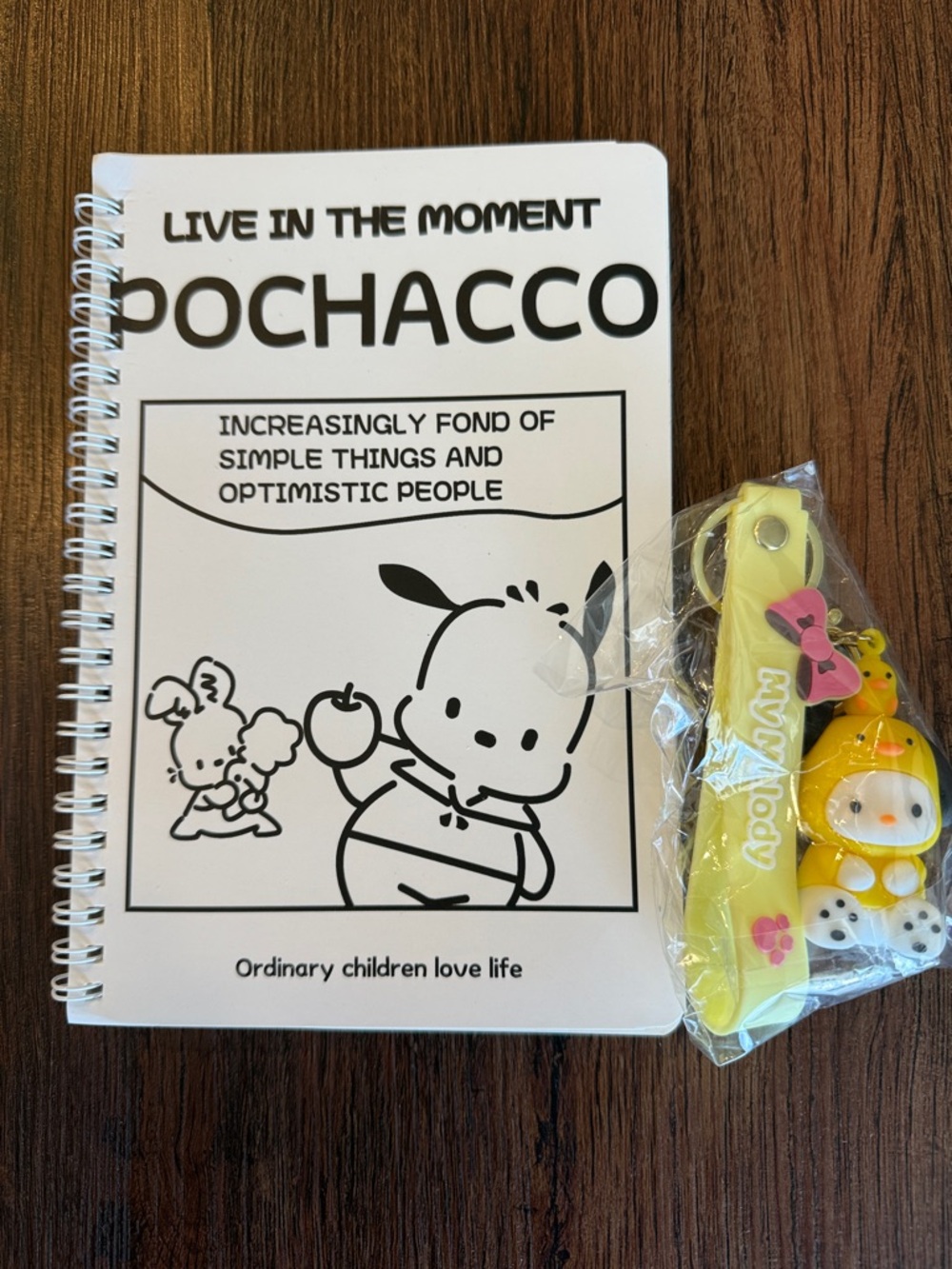 Pochacco Sanrio & Friends Bundle Notebook & Keychain NWT